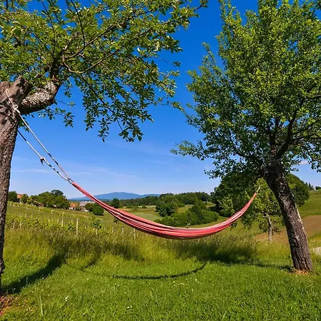 Self Catering Holiday Near Terme Catez - Sleep 4