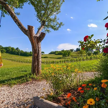 Self Catering Holiday Near Terme Catez - Sleep 4 * Obrezje