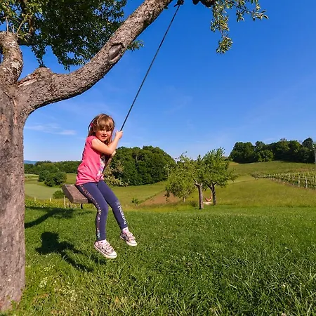 Self Catering Holiday Near Terme Catez - Sleep 4 Chalet Obrezje